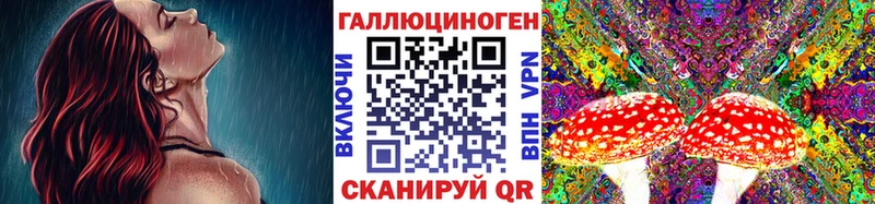 Псилоцибиновые грибы мухоморы hydra как зайти Красновишерск наркошоп